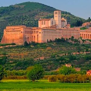 feat_assisi